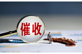 平川企业清欠服务